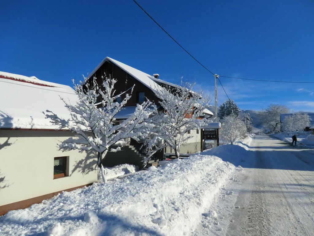 Ethno House Izvor Hotel Vrelo Koreničko Kültér fotó